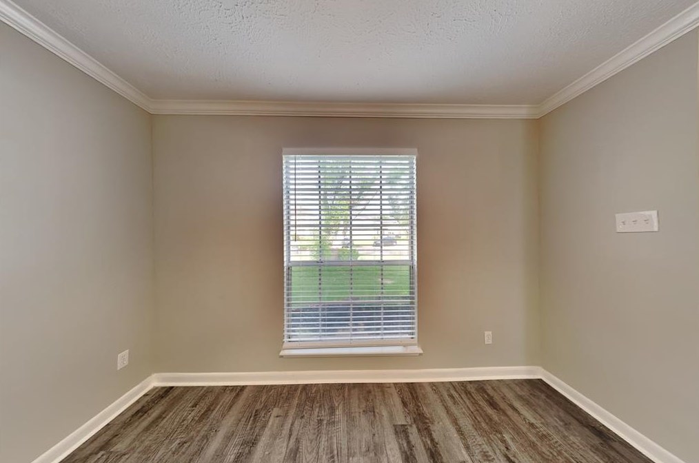 223 Needleleaf Ln, Sugar Land TX  77479-5036 exterior