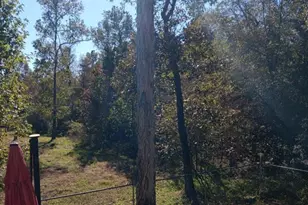 14617 Gibbs Pipeline Rd, Willis, TX 77378 - Photo 10