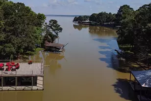 470 S Lakeview Dr, Point Blank, TX 77364 - Photo 32