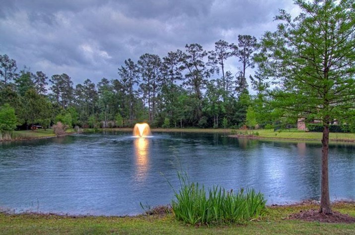 58 Mews Wood Ct, Spring, TX 77381-4552