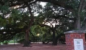 3010 Chenevert St, Houston TX  77004-4125 exterior