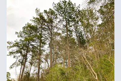 12 Cr 4415, Spurger, TX 77660 - Photo 2