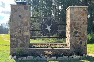 11723 Grand N Rd, Willis, TX 77378 - Photo 1