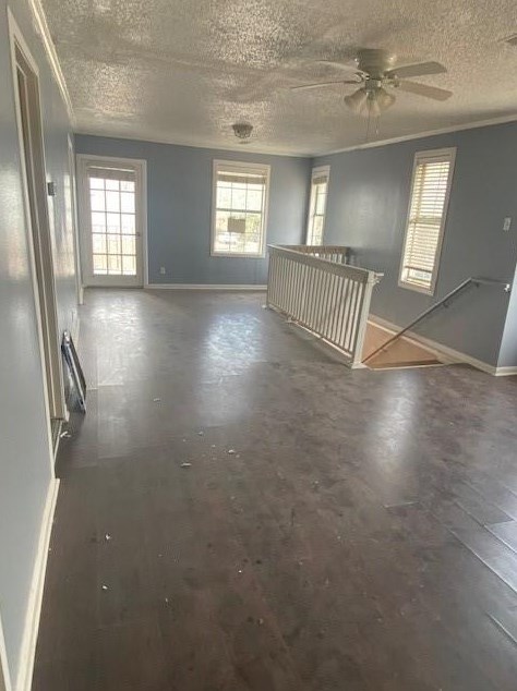 1430 Hawthorne St, Houston, TX 77006