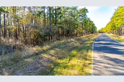 039 Sportsman Retreat Road, Onalaska, TX 77360 - Photo 10