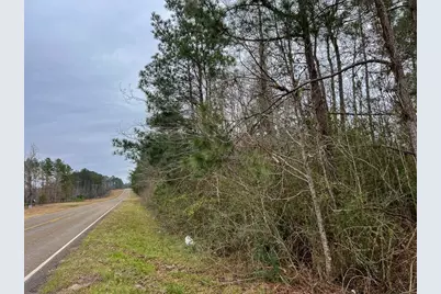 4 Fm 2626, Newton, TX 75966 - Photo 4