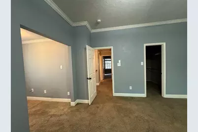 79 Anise Tree Place, The Woodlands, TX 77382 - Photo 22