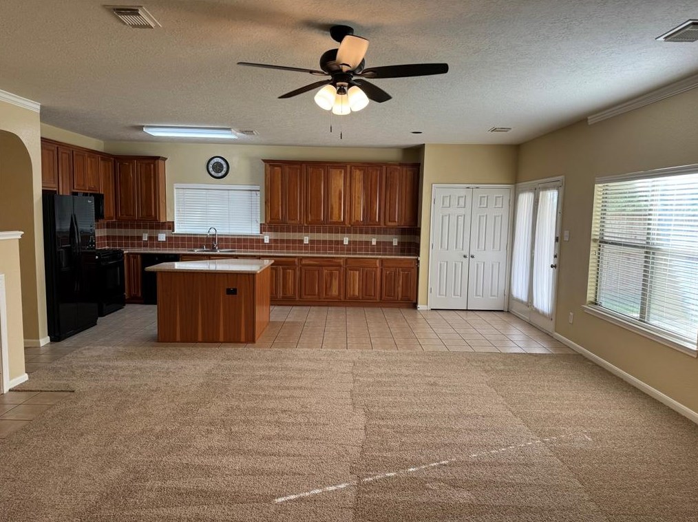 21307 Springbrook Hollow Ct, Spring TX  77379-1944 exterior