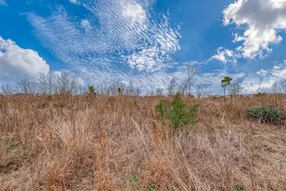 1625 Road 5705, Cleveland, TX 77327 - Photo 20