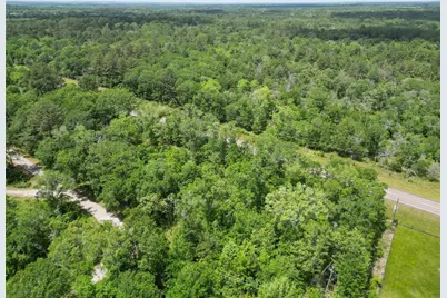 38006 Park View Drive, Hempstead, TX 77445 - Photo 6