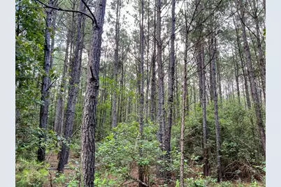 1 Fm 2793, New Waverly, TX 77358 - Photo 12