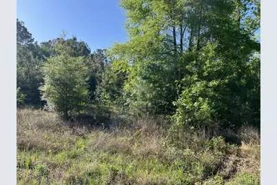 Tbd Highway 105, Cleveland, TX 77328 - Photo 2