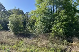 Tbd Hwy 105, Cleveland, TX 77328 - Photo 2