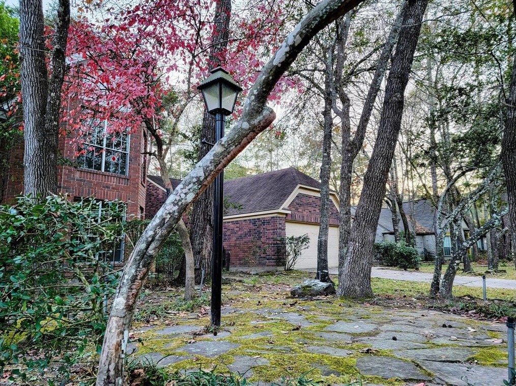 10 Elm Branch Pl, Spring TX  77380-2724 exterior