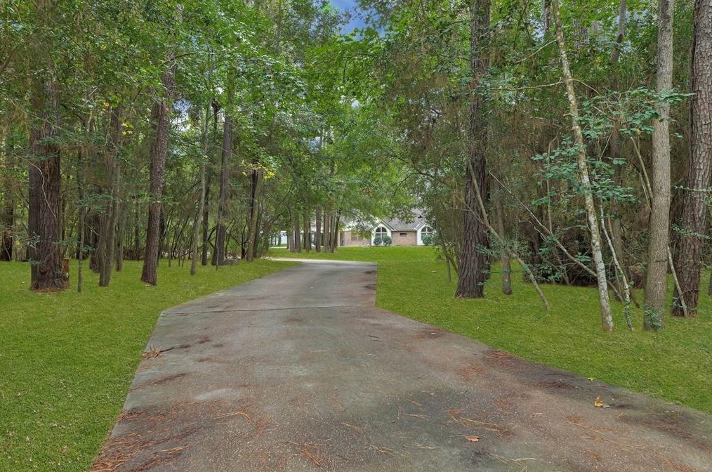 20280 Old Sorters Rd, Porter, TX 77365