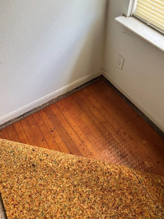 10207 Carthage Dr, Houston TX 77089-1410 exterior