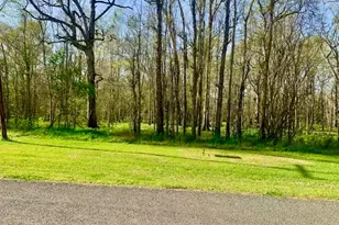 3 Lots County Road 2500, Liberty, TX 77575 - Photo 1