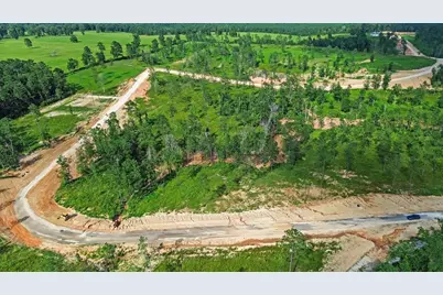 0 Anna Grace Road, Livingston, TX 77351 - Photo 10