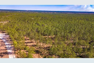 046 Tumbleweed Ranch Rd Road, Onalaska, TX 77360 - Photo 10