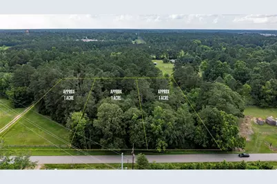 Tbd A1 County Road 318, Cleveland, TX 77327 - Photo 1