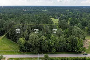 Tbd A1 County Road 318, Cleveland, TX 77327 - Photo 1