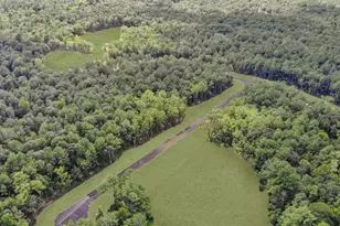 1513 Silver Crk Ln, Montgomery, TX 77316 - Photo 6