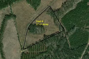 Tract 4 Cr 255, San Augustine, TX 75972 - Photo 1