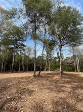 10690 Waukegan Rd, Conroe, TX 77306