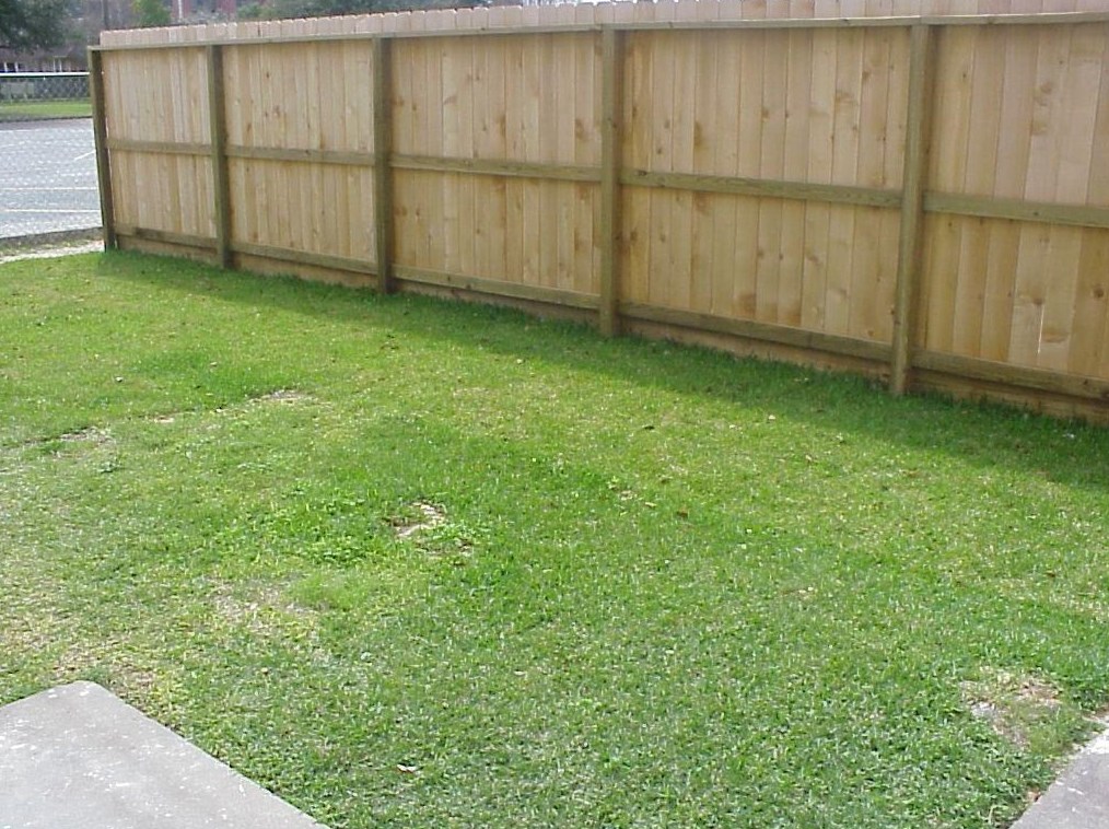 3611 Michaux St, Houston TX  77009-6027 exterior