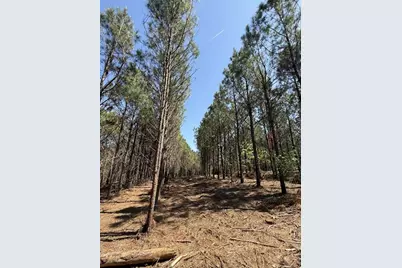 Tbd-G Lincoln Springs Rd, Gladewater, TX 75647 - Photo 12