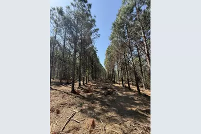 Tbd-G Lincoln Springs Rd, Gladewater, TX 75647 - Photo 14