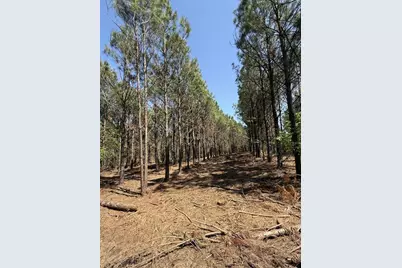 Tbd-G Lincoln Springs Rd, Gladewater, TX 75647 - Photo 16