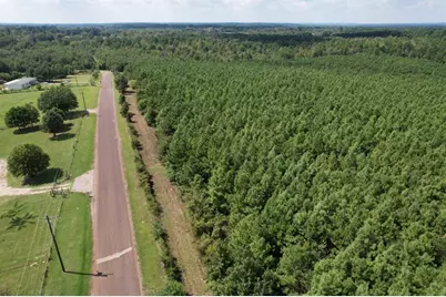 Tbd-G Lincoln Springs Rd, Gladewater, TX 75647 - Photo 4