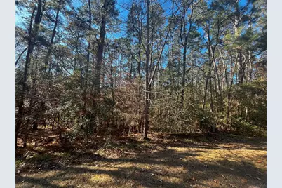 61 Sunny Hill Drive, Coldspring, TX 77331 - Photo 4