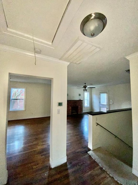 409 Saulnier St, Houston, TX 77019-4426