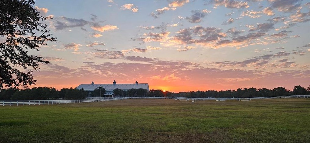 2200 Spg Br Rd, Montgomery TX 77316-2503 exterior