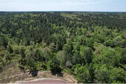 Tract 73 Private Road 1315, Centerville, TX 75833 - Photo 24