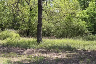 Tract 73 Private Road 1315, Centerville, TX 75833 - Photo 22