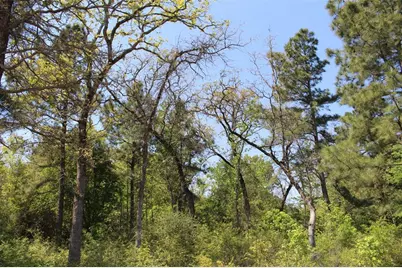 Tract 73 Private Road 1315, Centerville, TX 75833 - Photo 20