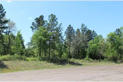 Tract 73 Private Road 1315, Centerville, TX 75833 - Photo 10