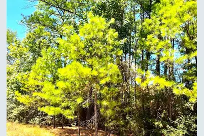 5 Lots Hickory Ridge Drive, Trinity, TX 78562 - Photo 6