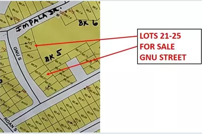 Lot 25 Gnu Street, Onalaska, TX 77360 - Photo 32