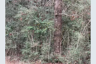 Tbd Road 2723, Cleveland, TX 77327 - Photo 2