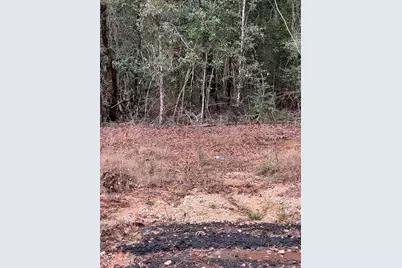 Tbd Road 2723, Cleveland, TX 77327 - Photo 6