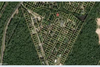 175 Lakeview Lane, Shepherd, TX 77371 - Photo 4