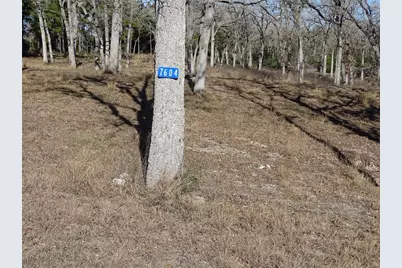 7604 Us-77, La Grange, TX 78945 - Photo 4