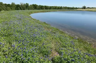 5796 Hurtig Rd, Bleiblerville, TX 78931 - Photo 1