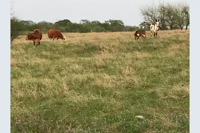 5796 Hurtig Road, Bleiblerville, TX 78931 - Photo 24