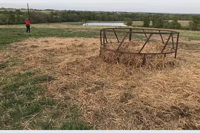 5796 Hurtig Road, Bleiblerville, TX 78931 - Photo 6