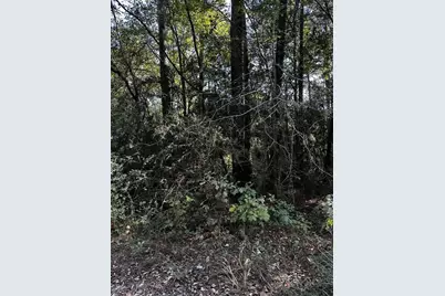 21793 Bluebonnet Drive, Navasota, TX 77868 - Photo 1